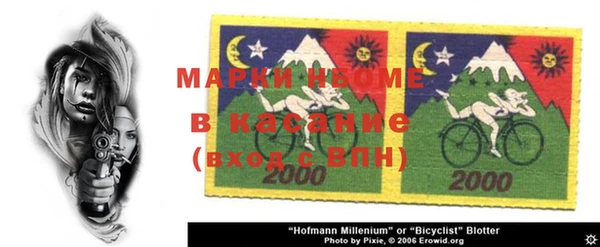 индика Верея