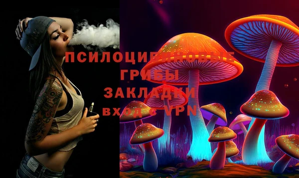 бошки Бородино