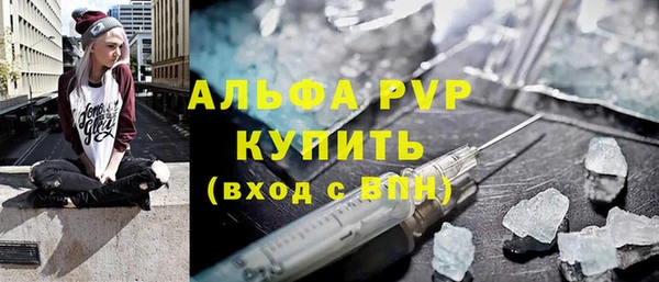 бошки Бородино