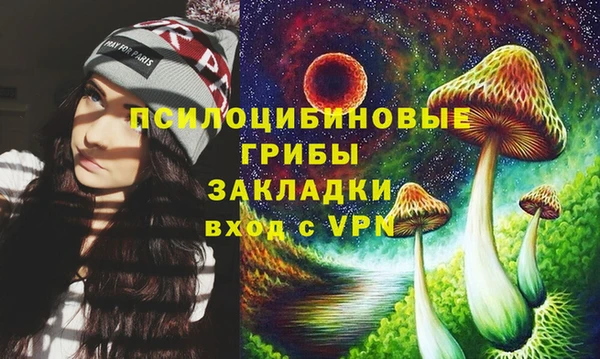 прущие грибы Верхнеуральск
