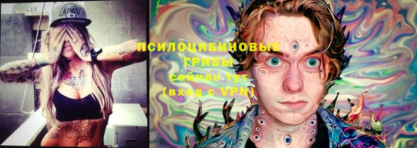 бошки Бородино