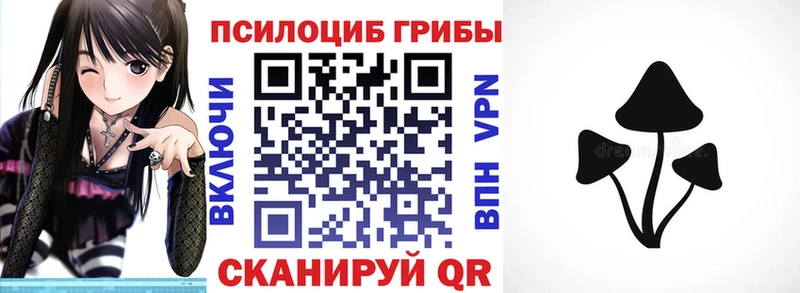 Галлюциногенные грибы MAGIC MUSHROOMS  наркотики  Катав-Ивановск 